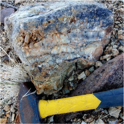 Image 2: Banded epithermal texture quartz veins from the historic Hyland Mine, Legal Tender Property, November 25, 2025